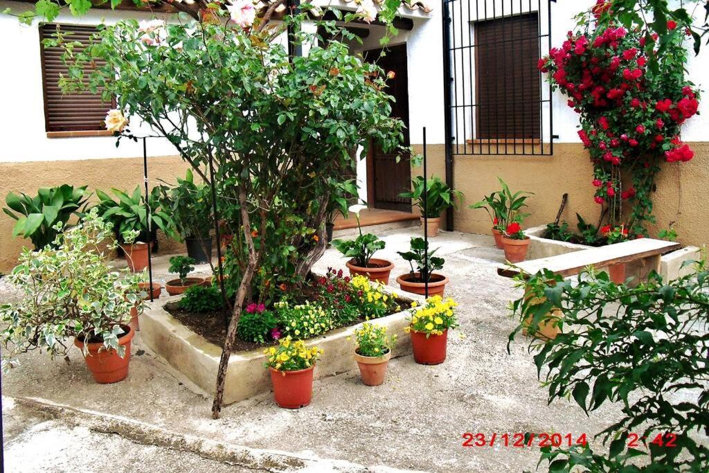 הוילה ייסטה Casa Del Abuelo 1 מראה חיצוני תמונה